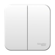 Выключатель 2-кл. ОП Blanca 6А IP20 (сх. 5) 250В бел. SE BLNVA065001