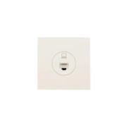 Розетка компьютерная 1-м СП ZIMA IP20 механизм сл. кость LEZARD 704-9088-139